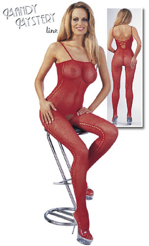 Netzcatsuit ouvert mit Muster Netzcatsuit ouvert mit Muster