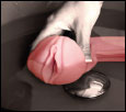 Fleshlight in warmes Wasser legen
